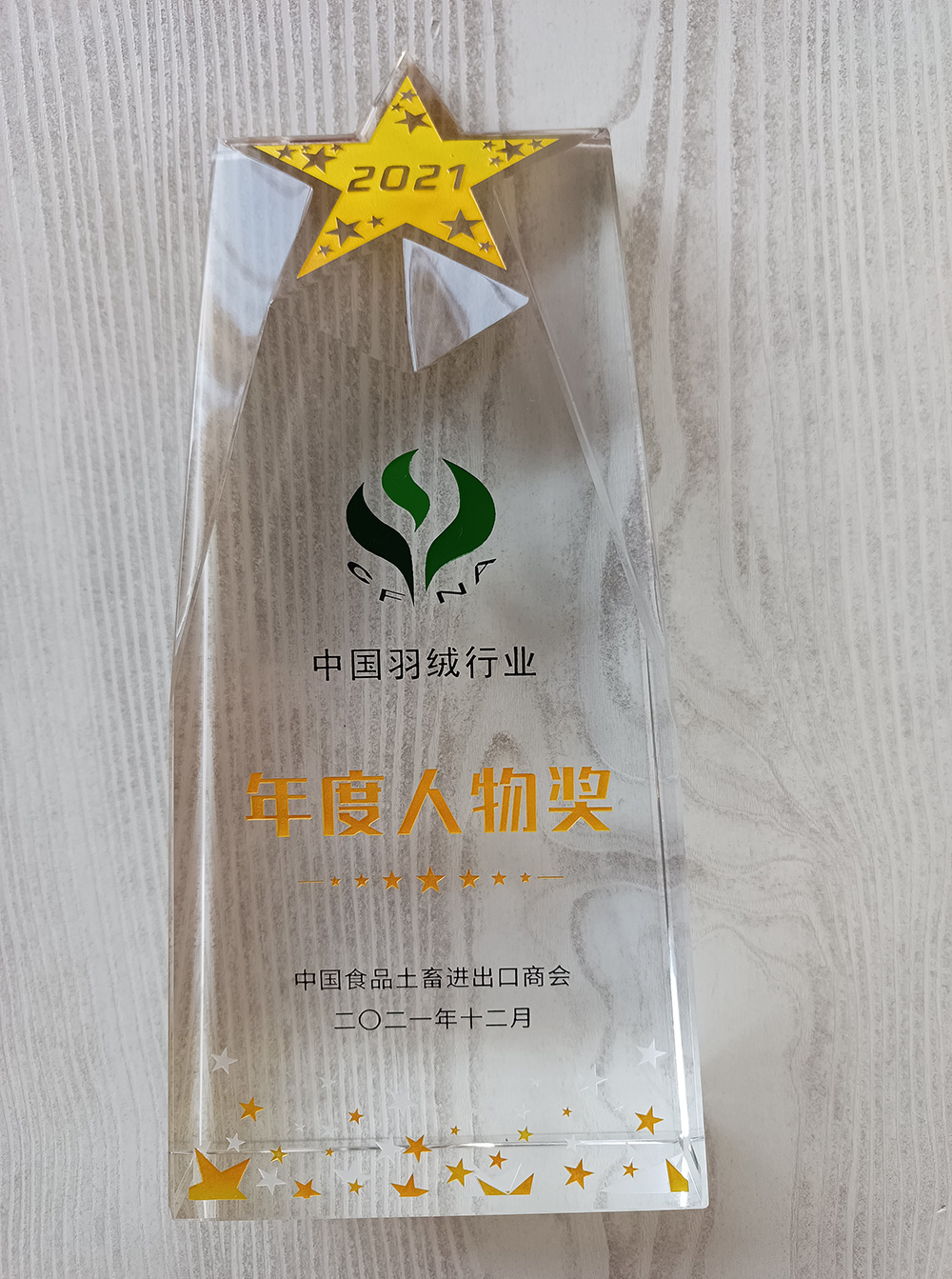 China Down Industry Person of the Year Award